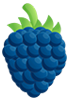 flvr