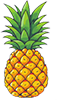 flvr